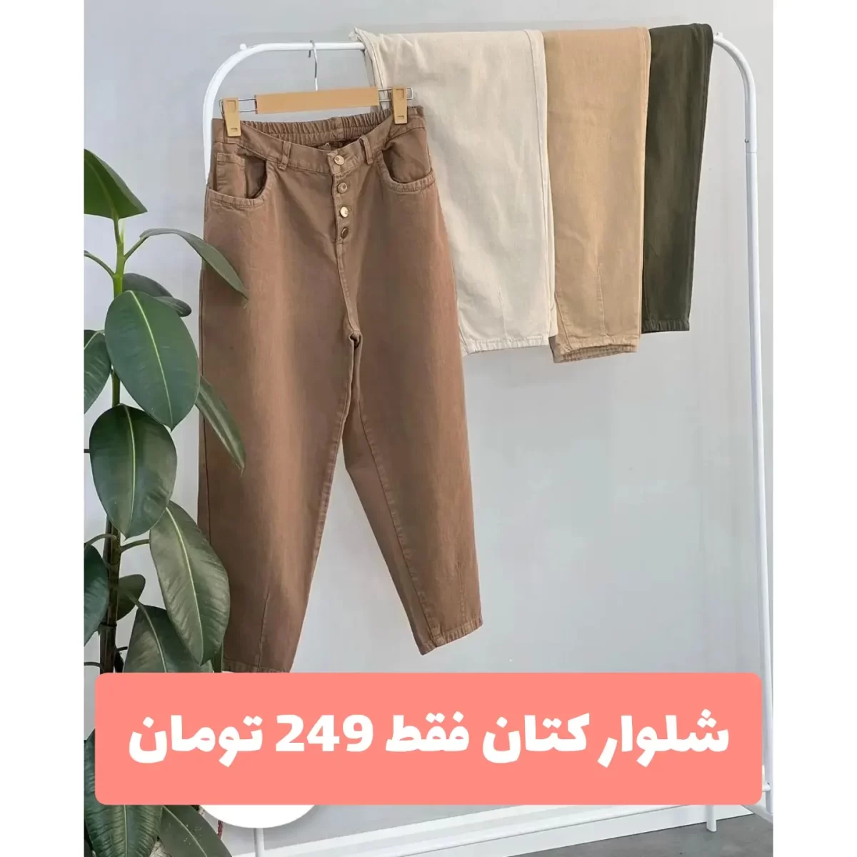 زیزو - تصویر 1