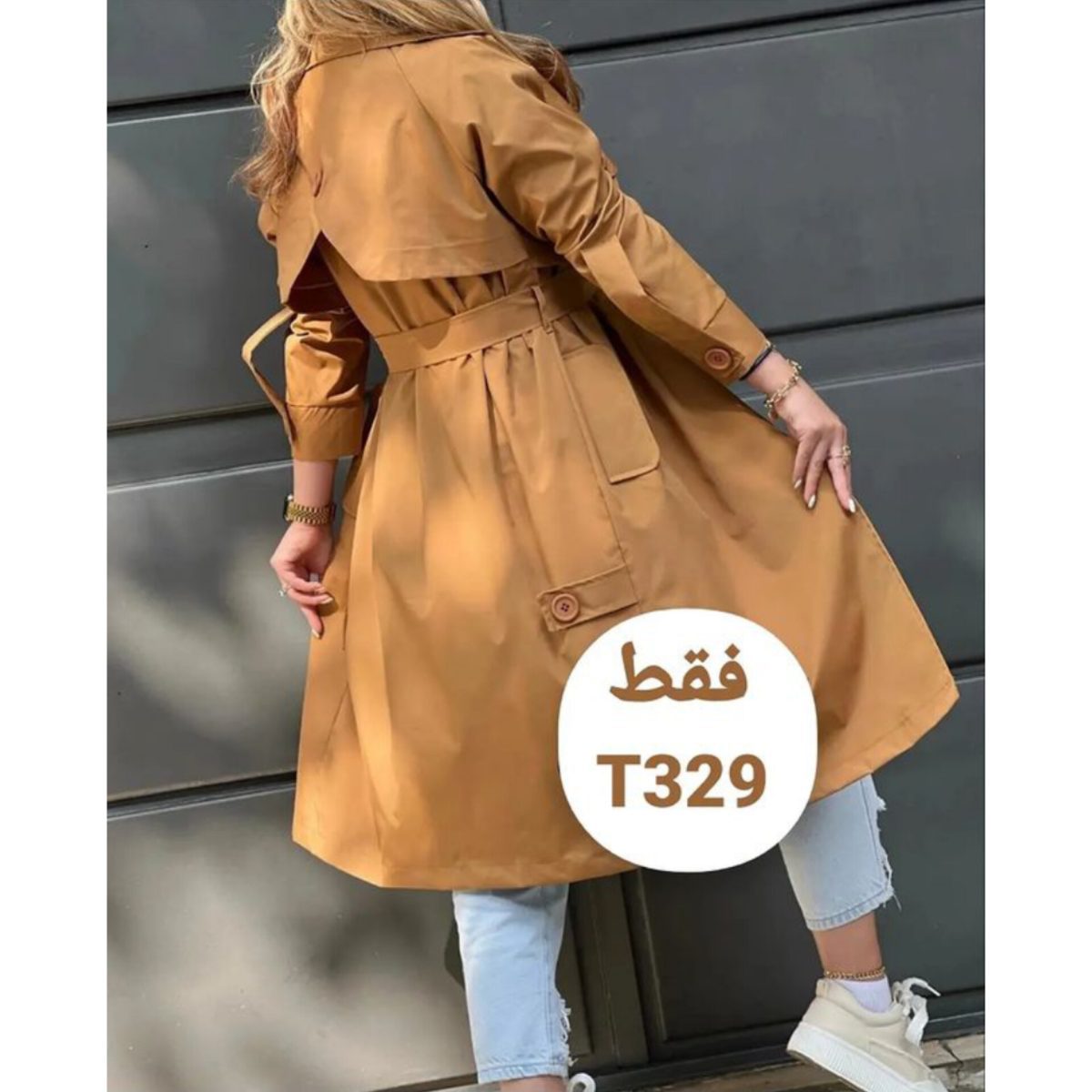 پرستو - تصویر 3