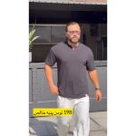 تیشرت مردانه داریوش - تصویر 5